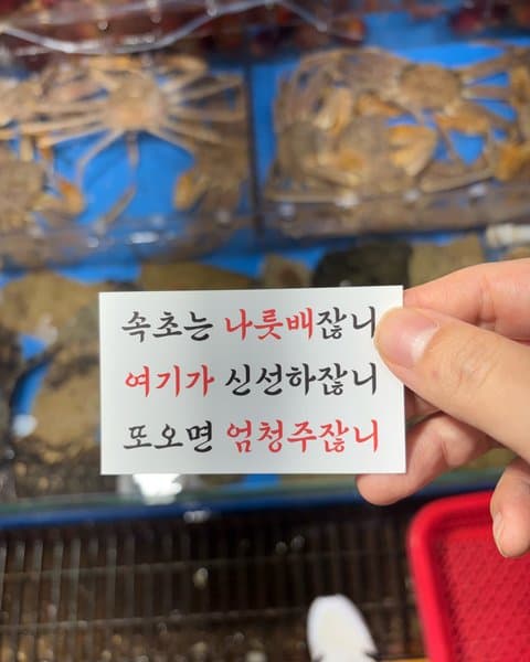 청호활어회센터 나룻배 12호 회포장 사진 5/5