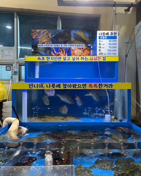 청호활어회센터 나룻배 12호 회포장 2