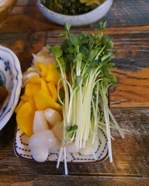 어부블루스 5