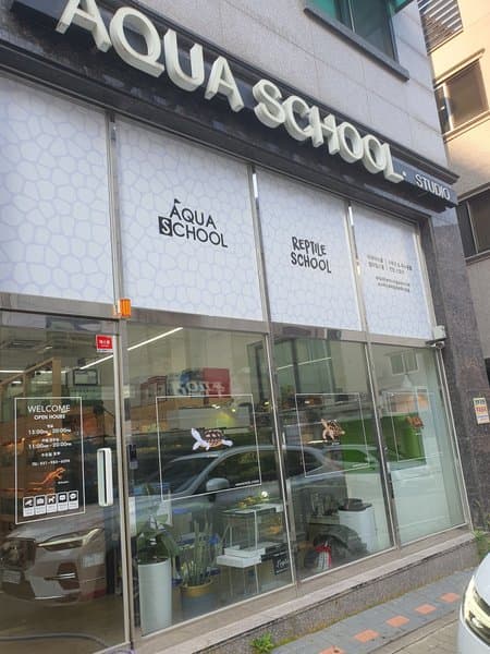 아쿠아스쿨 1