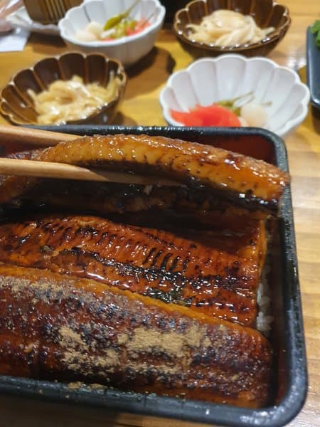 타마 6