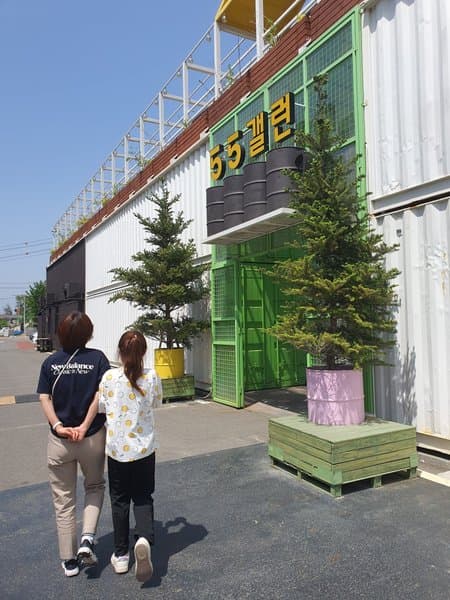 55갤런